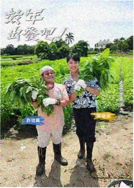 出发吧夜行者 综艺高清完整版在线观看
